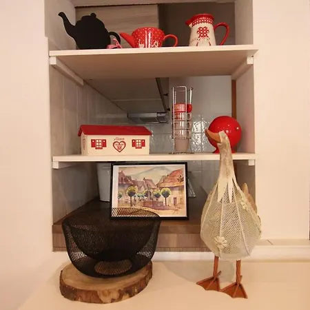 Apartment Les Tanneurs - Hyper Centre Colmar