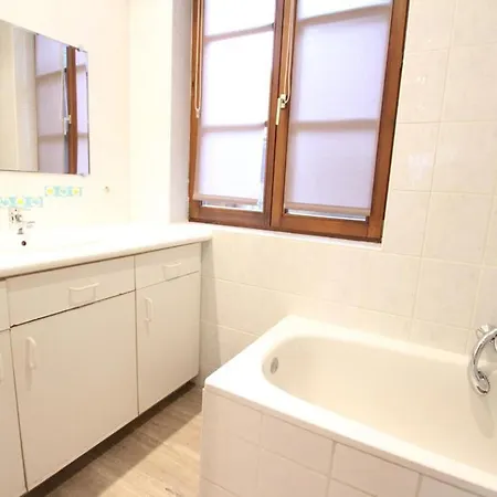 Appartement Les Tanneurs - Hyper Centre Colmar