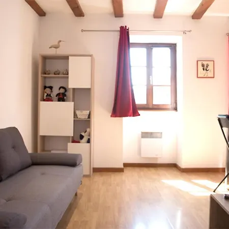 Les Tanneurs - Hyper Centre Apartment