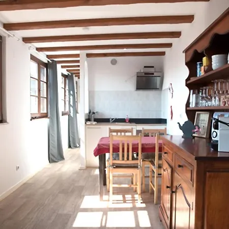 Apartment Les Tanneurs - Hyper Centre Colmar