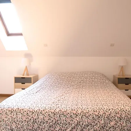Appartement Les Tanneurs - Hyper Centre Colmar