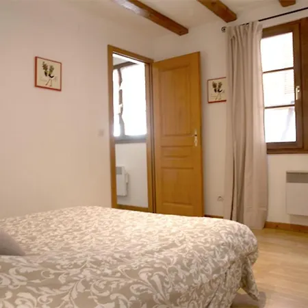 Apartment Les Tanneurs - Hyper Centre Colmar