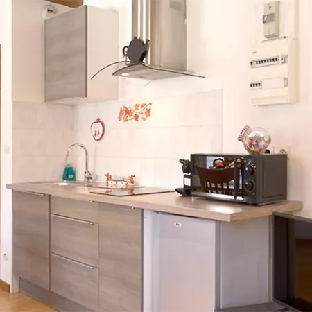 Apartment Les Tanneurs - Hyper Centre Colmar