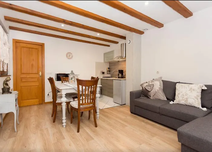 Apartmán Les Tanneurs - Hyper Centre