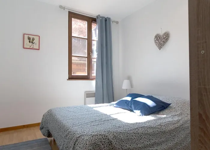 Les Tanneurs - Hyper Centre Colmar