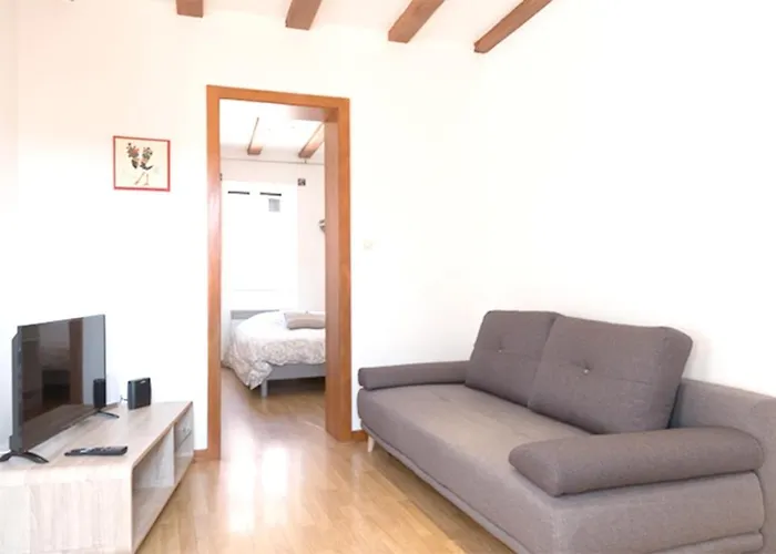 Les Tanneurs - Hyper Centre Apartmán *