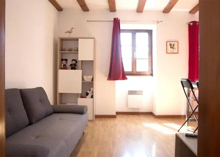 Les Tanneurs - Hyper Centre Apartmán