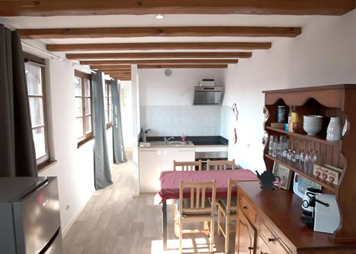 Les Tanneurs - Hyper Centre Apartmán *