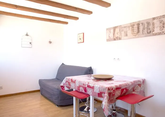 Les Tanneurs - Hyper Centre * Colmar