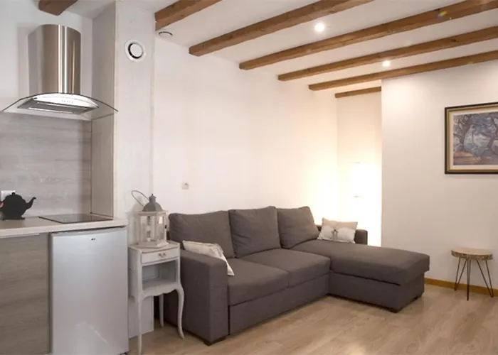 Les Tanneurs - Hyper Centre Apartmán