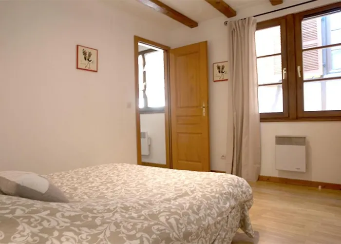 Apartmán Les Tanneurs - Hyper Centre Colmar