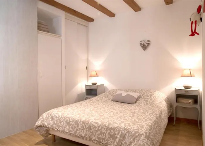 Les Tanneurs - Hyper Centre * Colmar