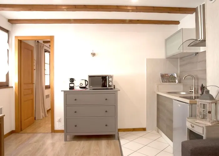 Apartmán Les Tanneurs - Hyper Centre