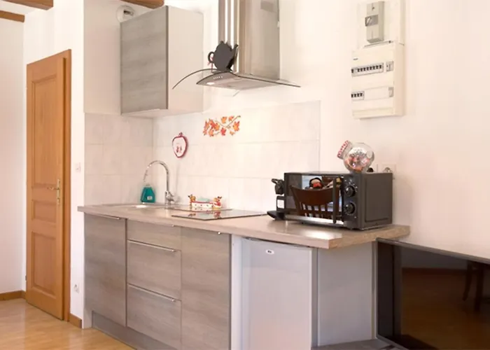 Apartmán Les Tanneurs - Hyper Centre Colmar